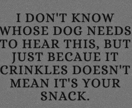 dog crinkle.jpg