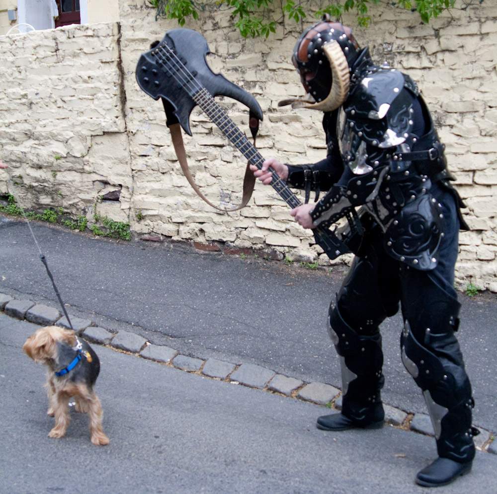 dog-crusher.jpg