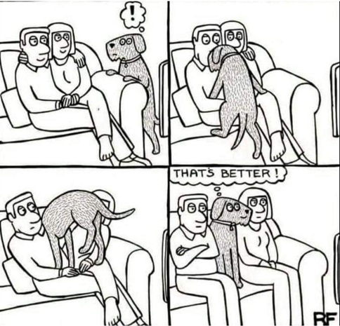 dog cuddles.jpg