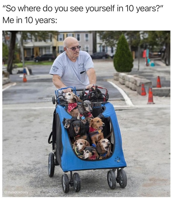 dog dad 2.jpg