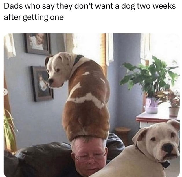 dog dad.jpg