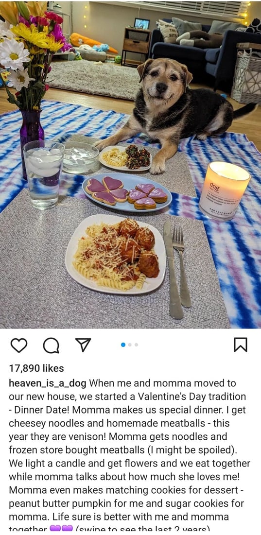 dog dinner.jpg