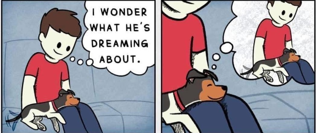 dog dream.jpg