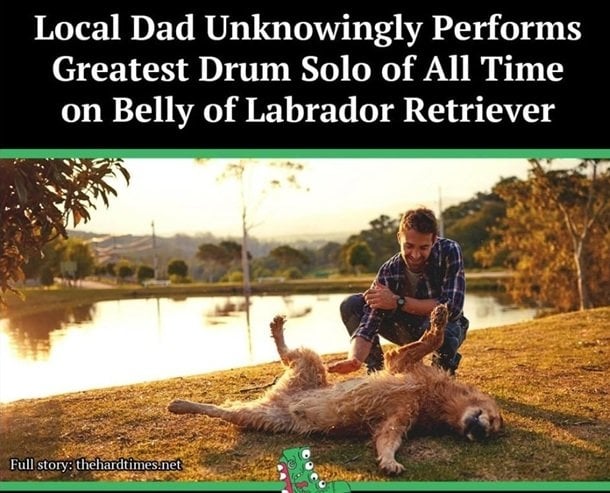 dog drum.jpg