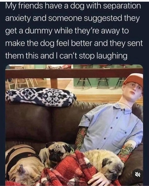 dog dummy.jpg