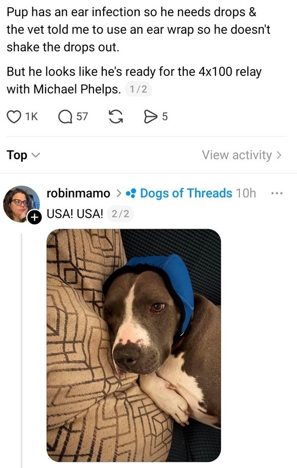 dog ear wrap.jpg