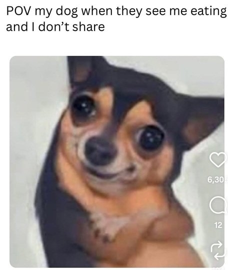 dog eat.jpg