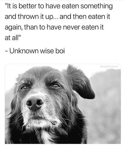 dog eating.jpg