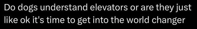 dog elevator.jpg