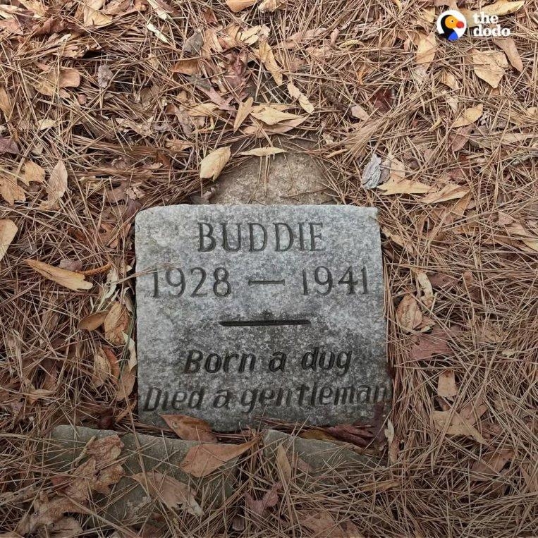 dog epitaph.jpg