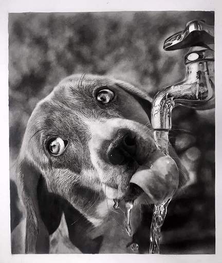 dog faucet.jpg