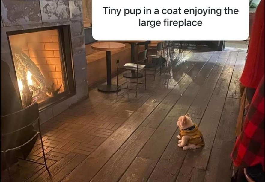 dog fire.jpg