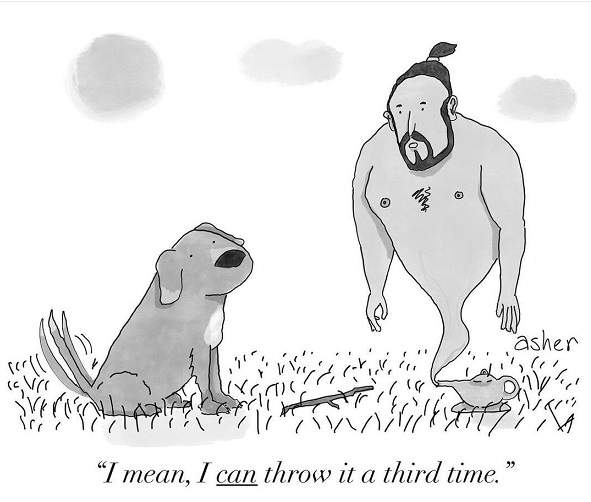 dog genie.jpg