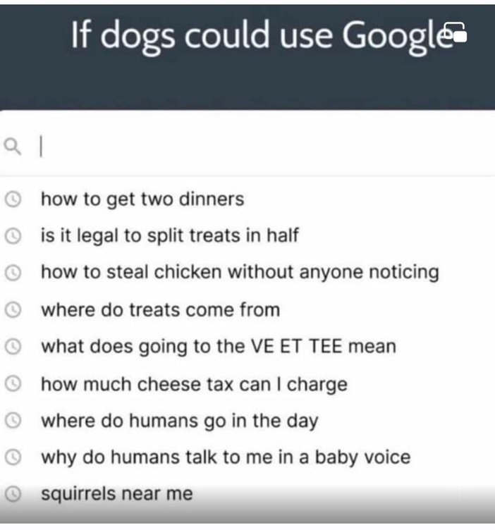 dog google.jpg