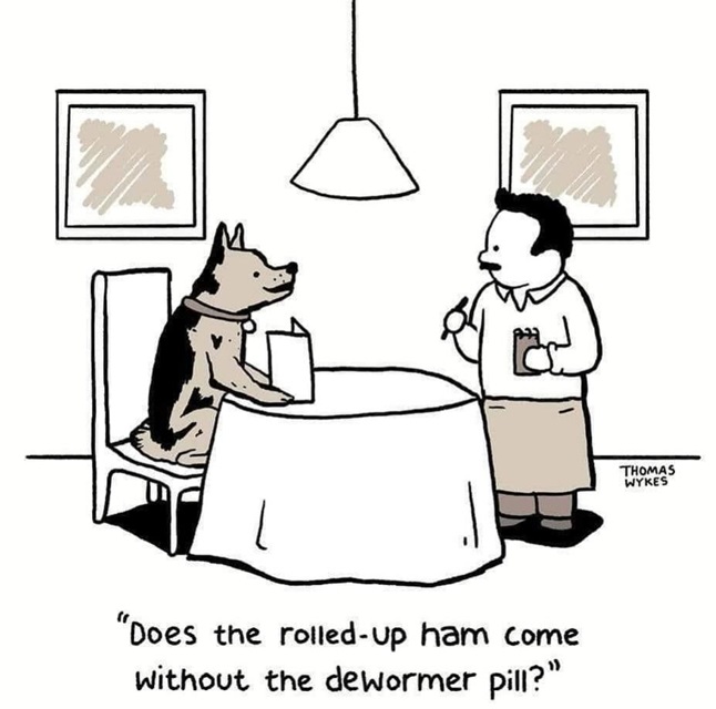 dog ham.jpg