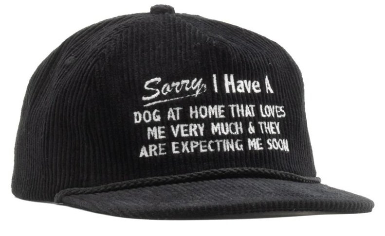 dog hat.jpg