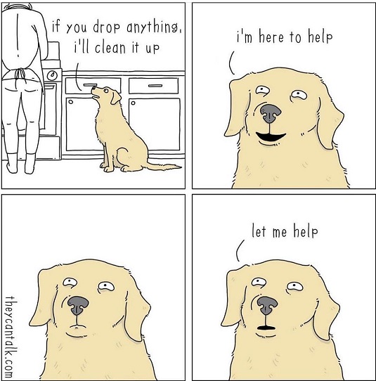 dog help.jpg