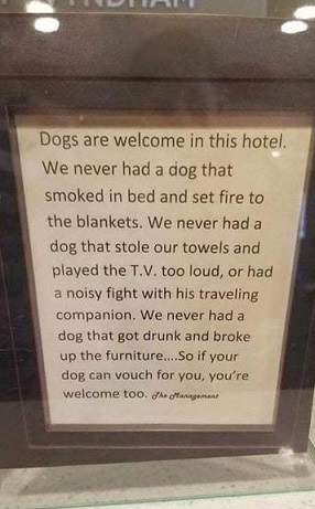 dog hotel.jpg