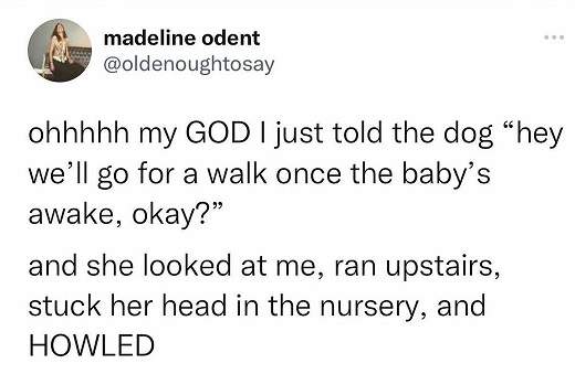 dog howl.jpg