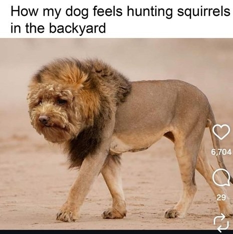 dog hunt.jpg