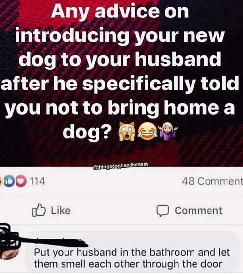 dog husband.jpg
