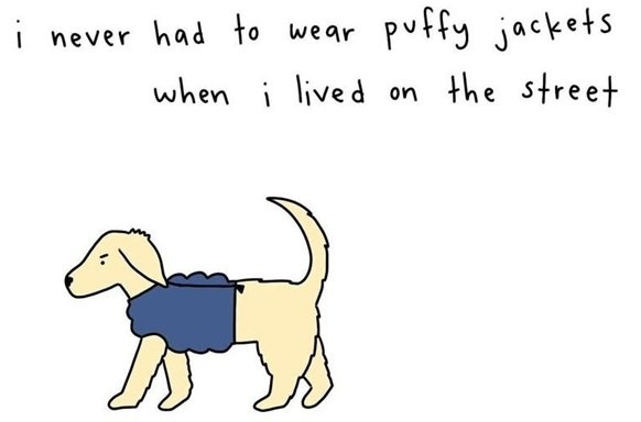 dog jacket.jpg