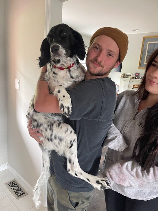dog.jpg