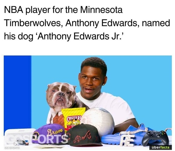 dog junior.jpg
