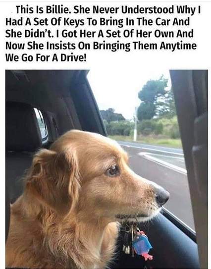 dog keys.jpg