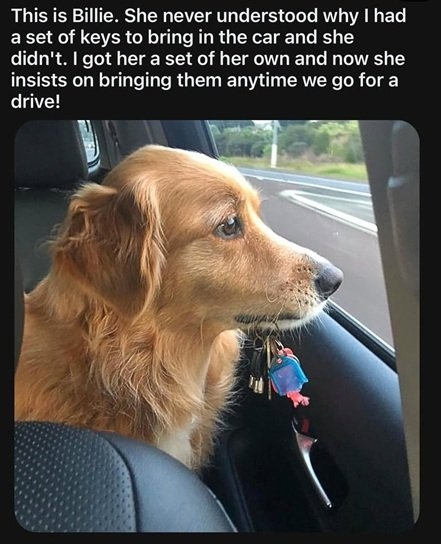 dog keys.jpg