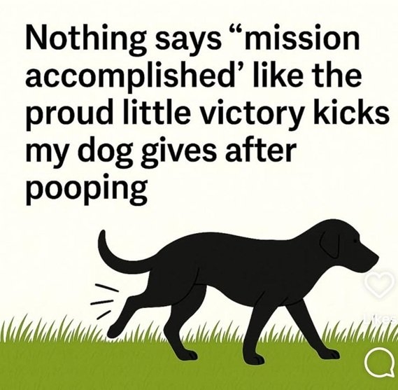 dog kicks.jpg