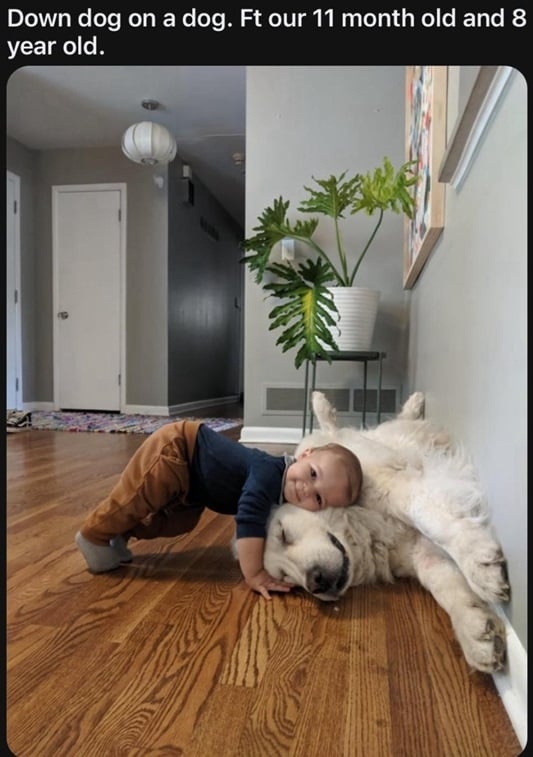 dog kid.jpg