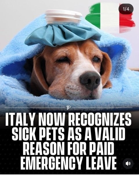 dog leave.jpg