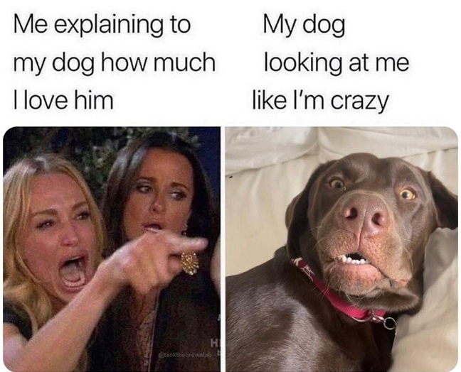 dog love.jpg