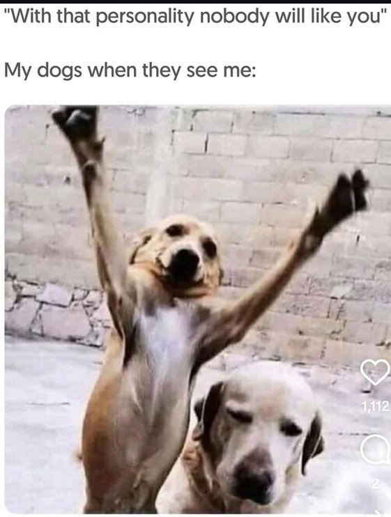dog love.jpg