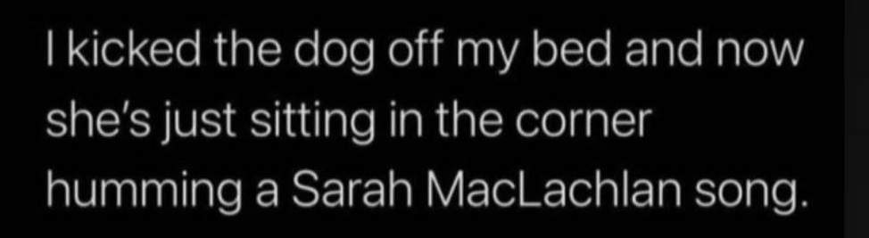 dog maclachlan.jpg