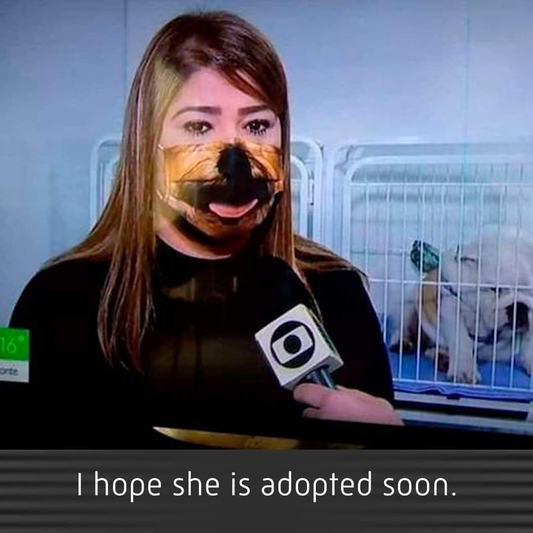 dog mask adoption.jpg