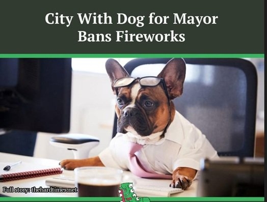 dog mayor 4th.jpg