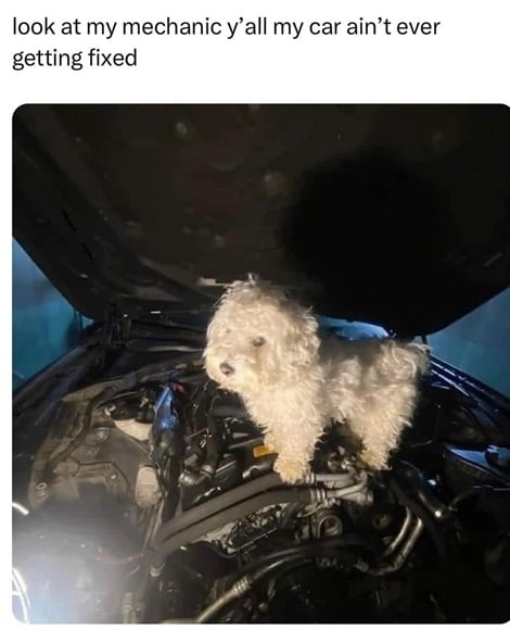dog mechanic.jpg