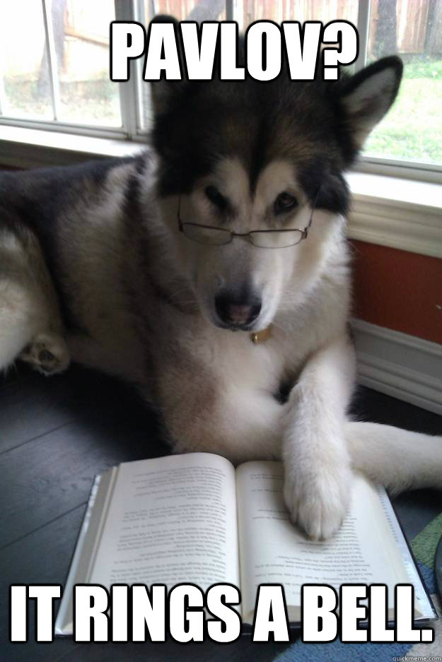 dog-meme-1023329616.jpeg