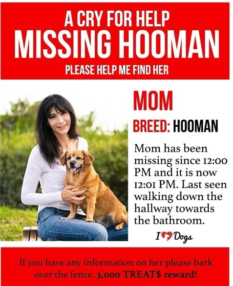 dog mom.jpg