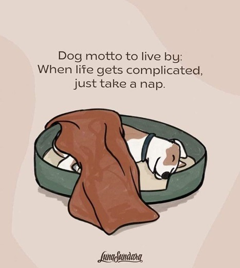 dog motto.jpg