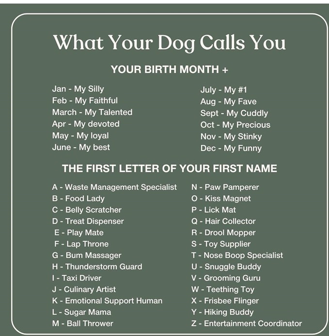 dog name.jpg