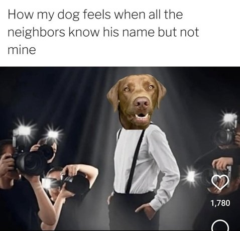 dog name.jpg