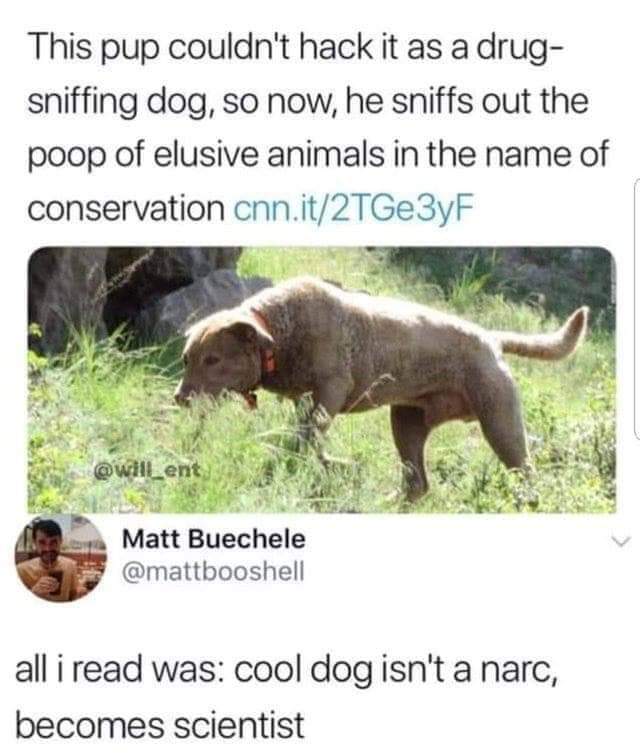 dog narc scientist.jpg