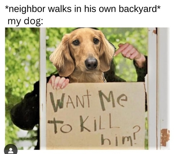 dog neighbor.jpg