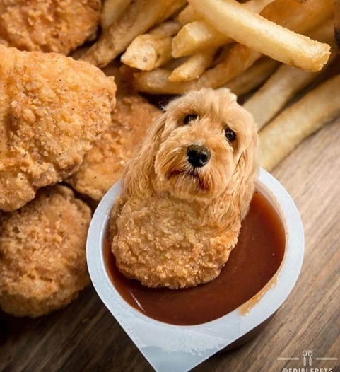 dog nug.jpg