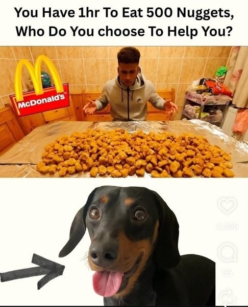 dog nugs.jpg