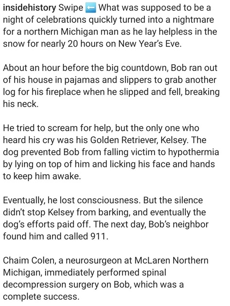 dog nye 2.jpg