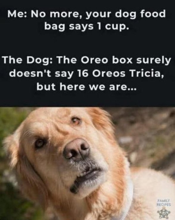 dog oreos.jpg